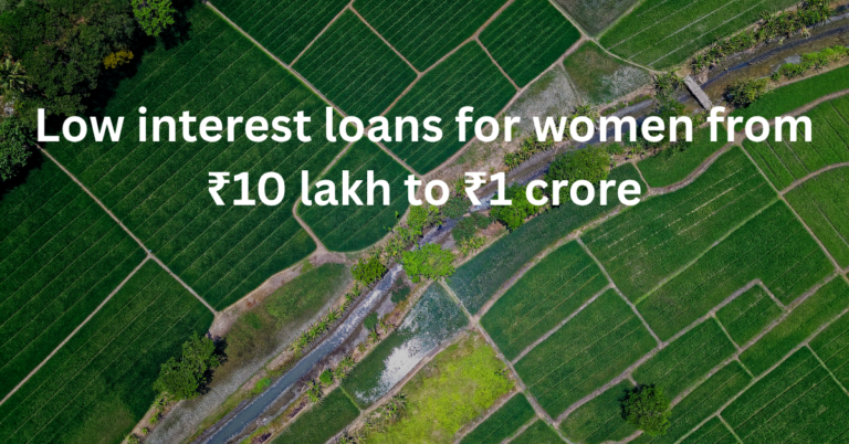 Low interest loans for women from ₹10 lakh to ₹1 crore