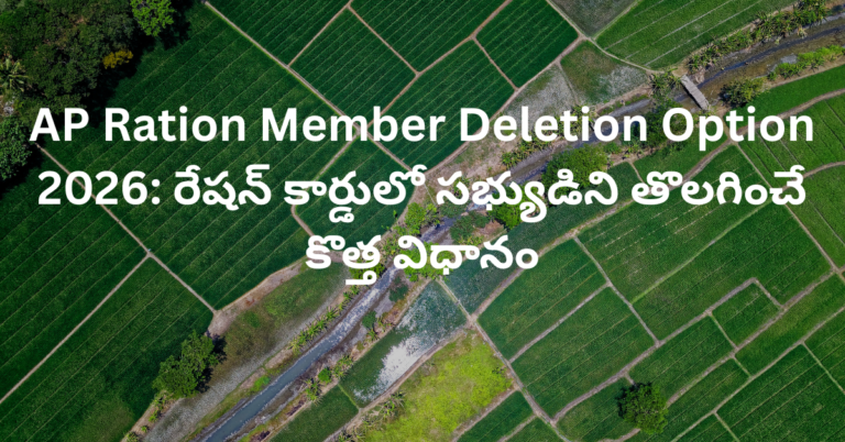 AP Ration Member Deletion Option 2026: రేషన్ కార్డులో సభ్యుడిని తొలగించే కొత్త విధానం